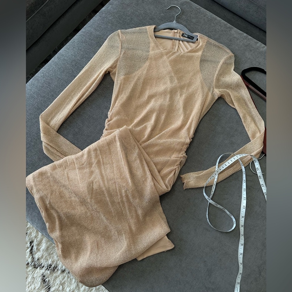 Zara Elegant  Champagne Gold Sheer Long Dress